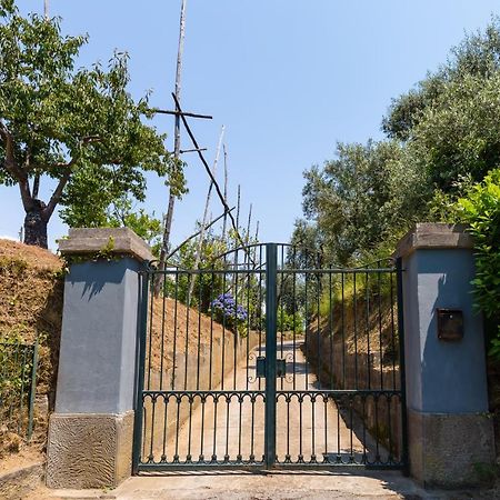 Villa Ada Półwysep Sorrentyński Zewnętrze zdjęcie