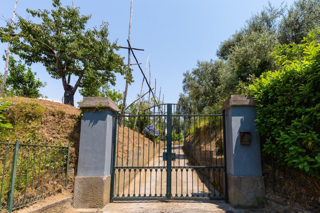 Villa Ada Półwysep Sorrentyński Zewnętrze zdjęcie